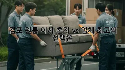 김포 원룸 이사, 혼자 vs 업체? 최고의 선택은?