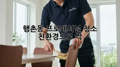 행촌동 프로페셔널 청소 ✨ 친환경으로 싹!