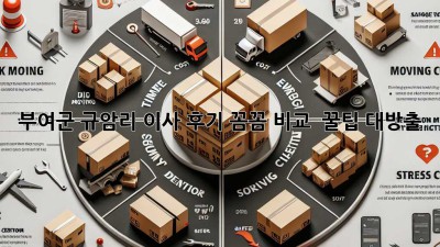 부여군 규암리 이사 후기🏡 꼼꼼 비교 & 꿀팁 대방출!
