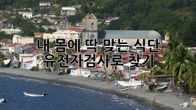내 몸에 딱 맞는 식단? 🤔 유전자검사로 찾기! 🧬🥗