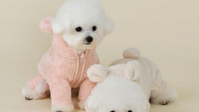 겨울왕국 입성?! 🤭 울리올인원후리스 후기 & 꿀팁 대방출!
